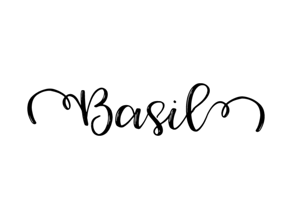 Basil Lettering: A Versatile Tool for Creative and Practical Design