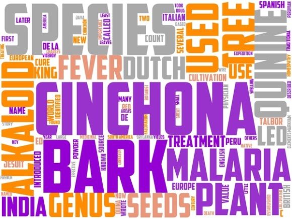 The Quinology Wordart Tshirt: A Creative Canvas for Expression and Design